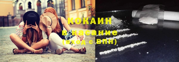 ешки Бородино