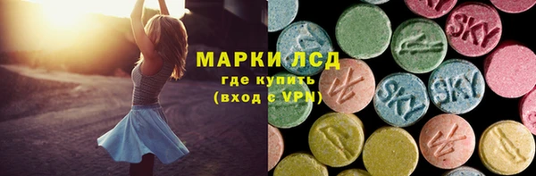 ешки Бородино