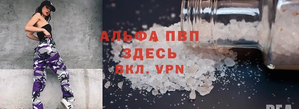 PSILOCYBIN Бронницы