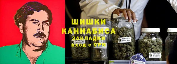 PSILOCYBIN Бронницы