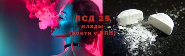 ешки Бородино