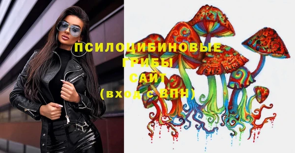 ешки Бородино