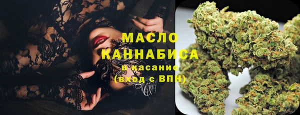 ешки Бородино