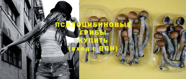 ешки Бородино