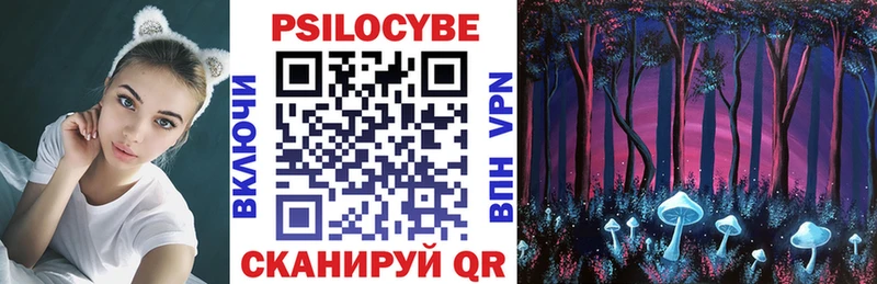 Купить закладки Семёнов Галлюциногенные грибы Psilocybine cubensis